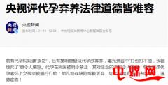 央视评代孕弃养法律道德皆难容